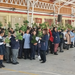 Celebración Domingo de Ramos